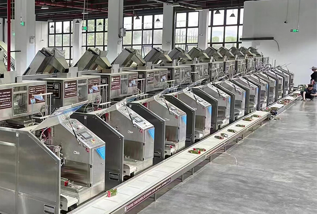 tea-production-line6