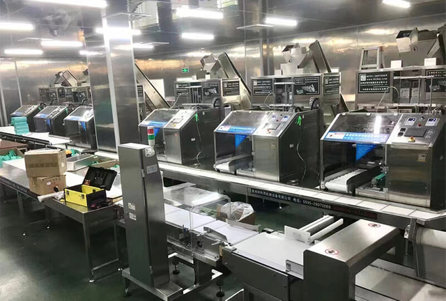 tea-production-line3