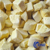 freeze dried durian fruit