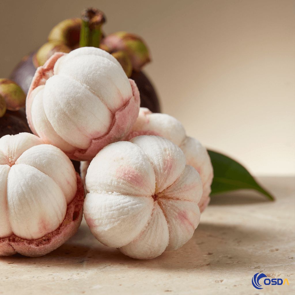 freeze dried mangosteen snack