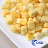 freeze dried mango fruit