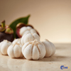 freeze dried mangosteen fruit